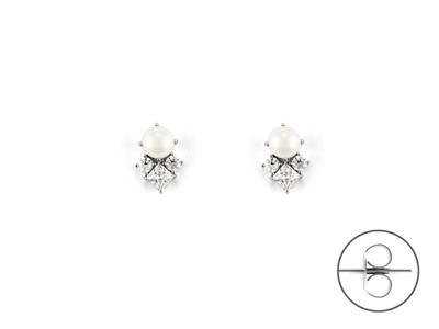 Orecchini in Arg. con Perle