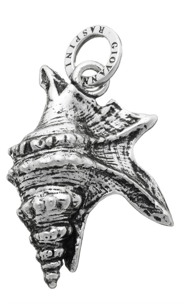 Charm Conchiglia media