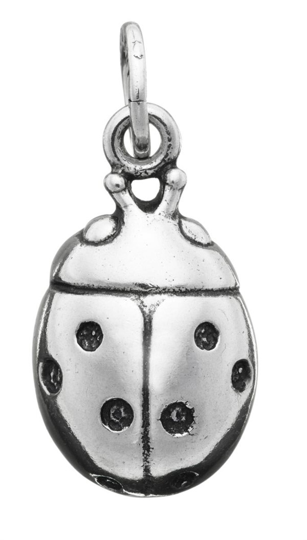 Charm Coccinella grande