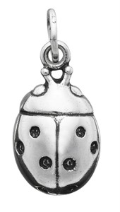 Charm Coccinella grande