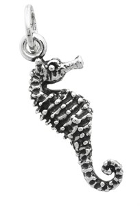 Charm Cavalluccio marino medio