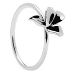 Anello Narciso Argento