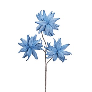 Magnolia Azzurra H100 FLOWERS - Henriette