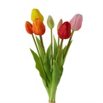 Bouquet 7 Tulipani Colorati