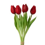 Bouquet 5 Tulipani Rossi