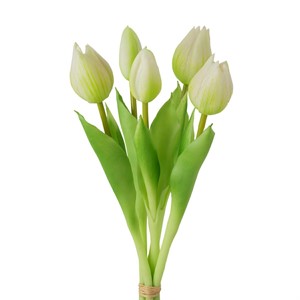 Bouquet 5 Tulipani Bianchi