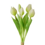 Bouquet 5 Tulipani Bianchi