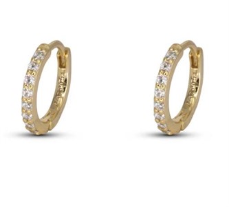 Orecchini Cerchio Gold Medi con Zirconi White