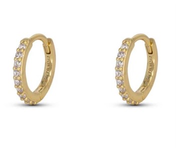 Orecchini Cerchio Gold Grandi con Zirconi White