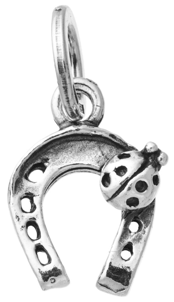 Charm Ferro di Cavallo con Coccinella