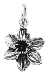 Charms Narciso