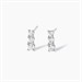 Orecchini a lobo con trilogy di zirconi