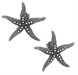 Collana Stelle Marine Shine