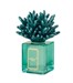 Profumatore Corallo Verde Inglese 250ml