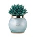 Lampada Corallo Verde Inglese