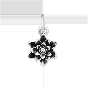 Charm Papavero