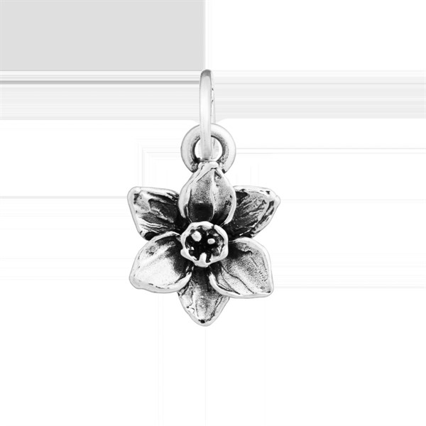 Charm Narciso Piccolo