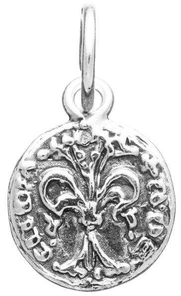 Charm Moneta Fiorino