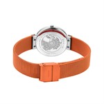 Classic | argento brilliante/Arancio | 14531-505