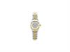 Orologio Bicolor Gold con Zirconi
