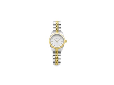Orologio Bicolor Gold con Zirconi