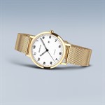 Titanium oro brilliante/spazzolato