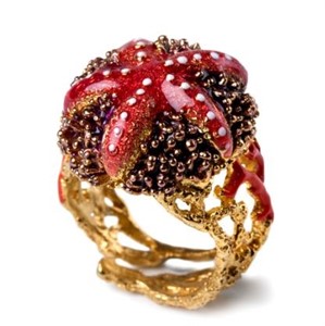 Anello Stella Riccio